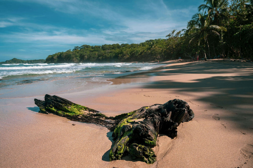 Casa Pilón – Private Villa in Nature
